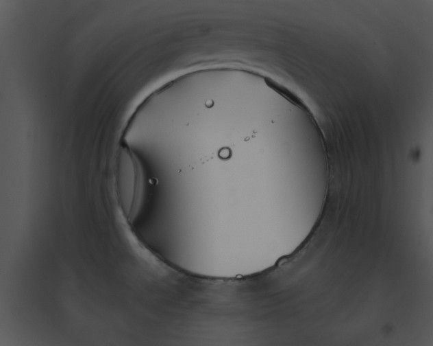 X0000095541534200801041258