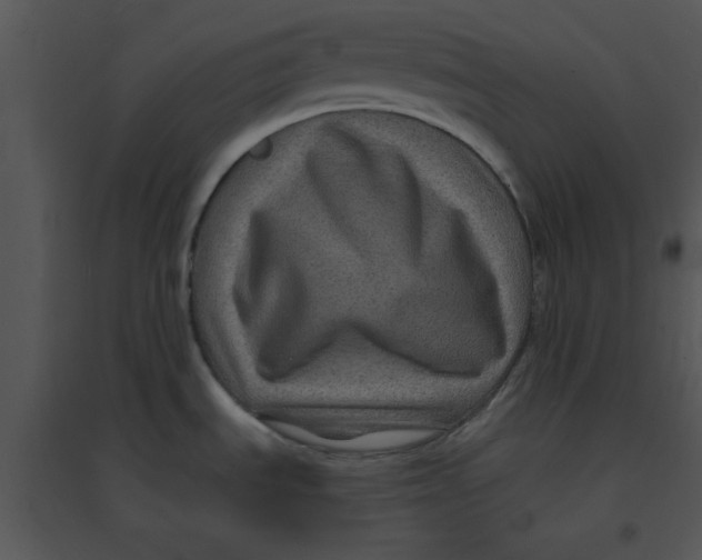 X0000095541535200801041258