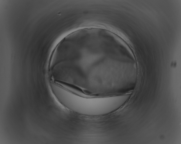 X0000095541536200801041258