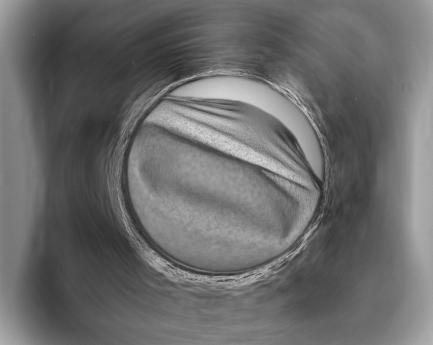 X0000095540001200801111442