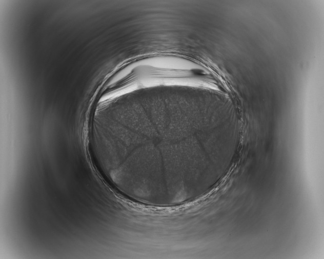 X0000095540002200801111442