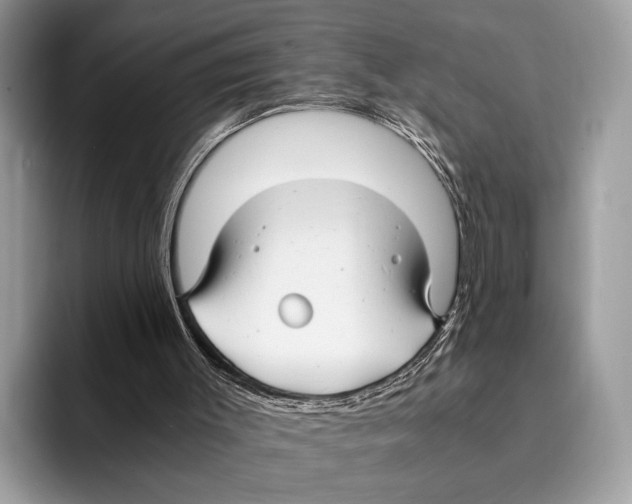 X0000095540003200801111442