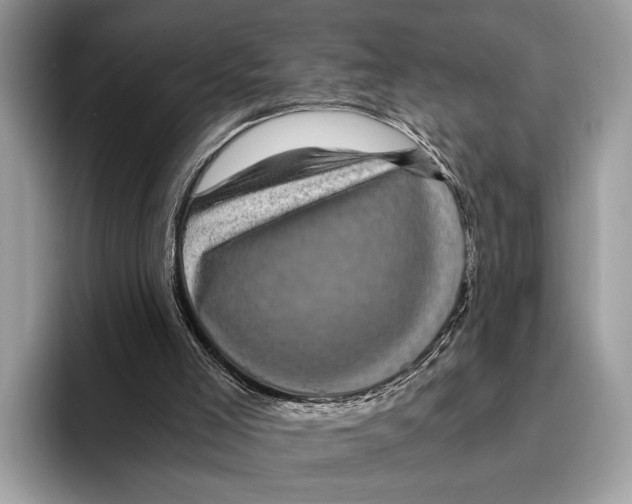 X0000095540005200801111442