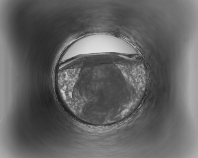 X0000095540006200801111442