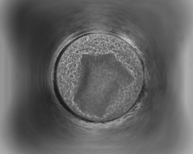 X0000095540007200801111442