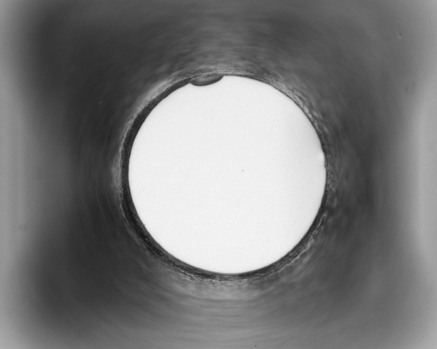 X0000095540008200801111442