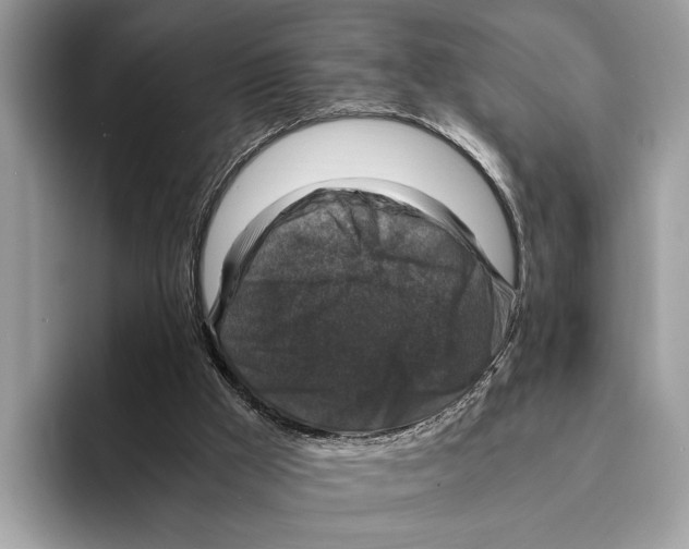 X0000095540009200801111442