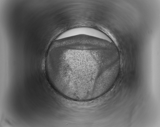 X0000095540010200801111442