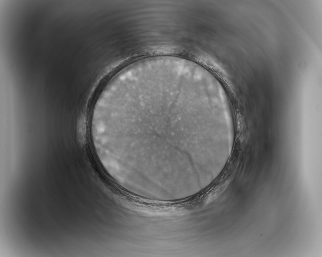 X0000095540012200801111442