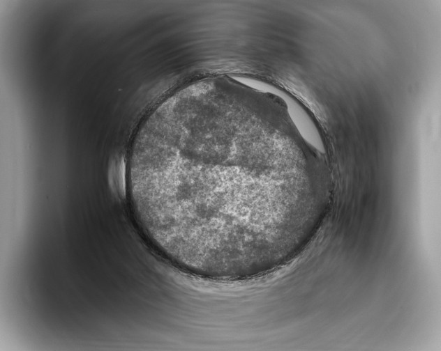 X0000095540014200801111442