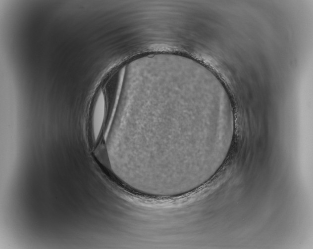 X0000095540015200801111442