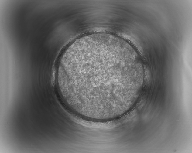 X0000095540016200801111442