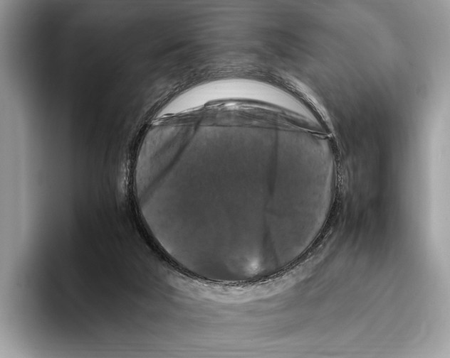 X0000095540018200801111442