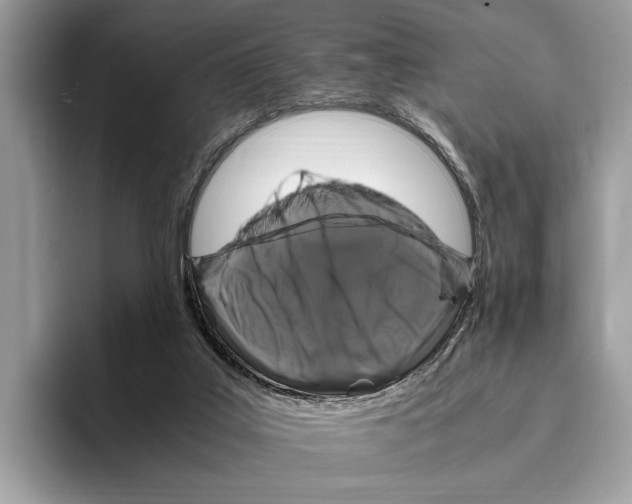 X0000095540019200801111442