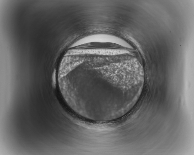 X0000095540020200801111442