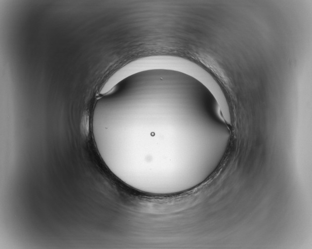 X0000095540021200801111442