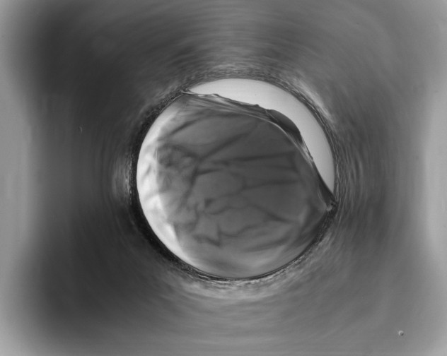 X0000095540023200801111442