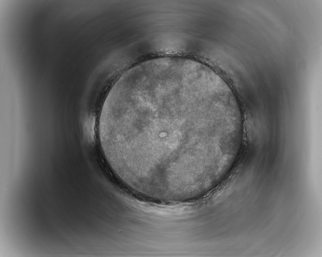 X0000095540024200801111442