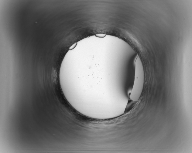 X0000095540025200801111442