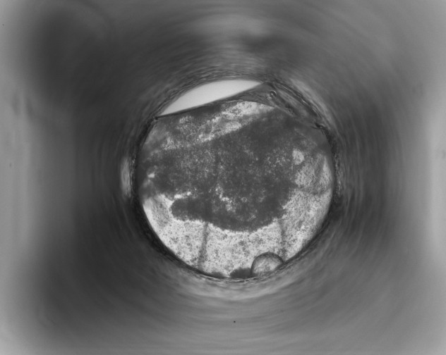 X0000095540026200801111442