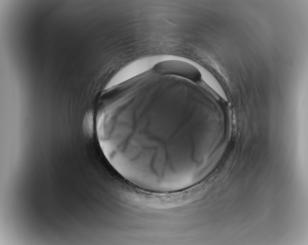 X0000095540027200801111442