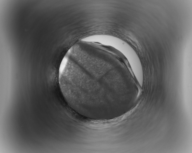 X0000095540029200801111442