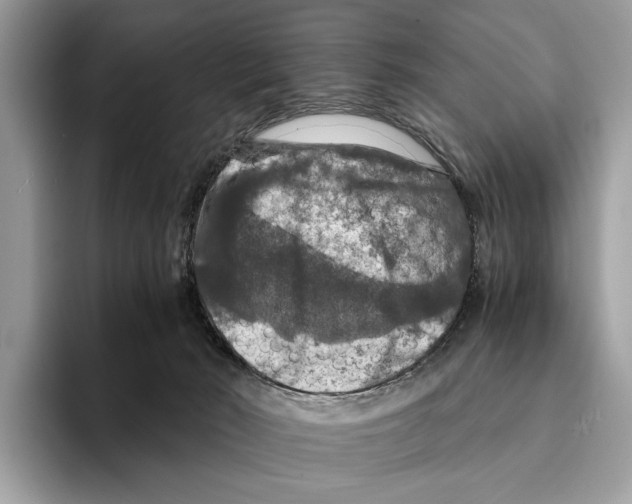 X0000095540030200801111442