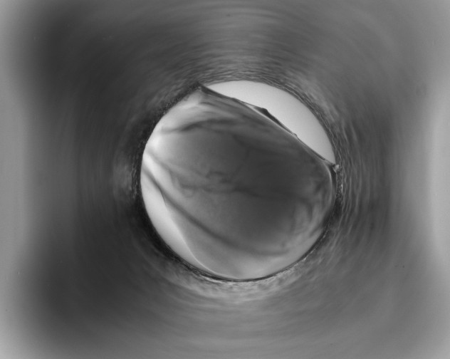 X0000095540031200801111442