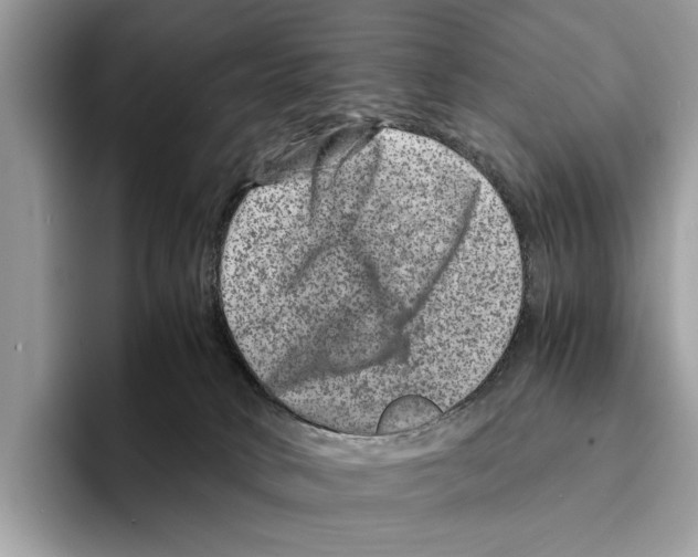 X0000095540034200801111442