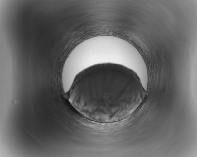 X0000095540035200801111442