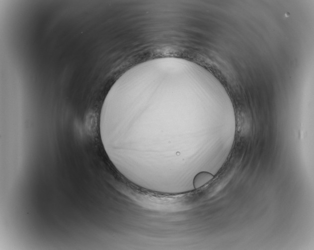 X0000095540036200801111442