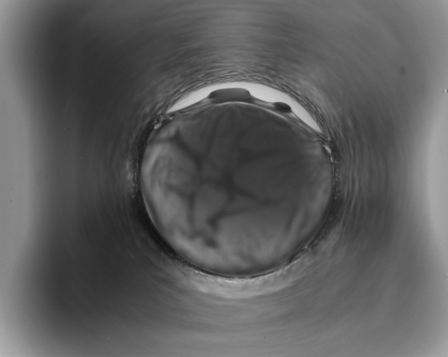 X0000095540039200801111442