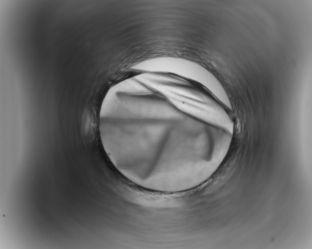 X0000095540040200801111442