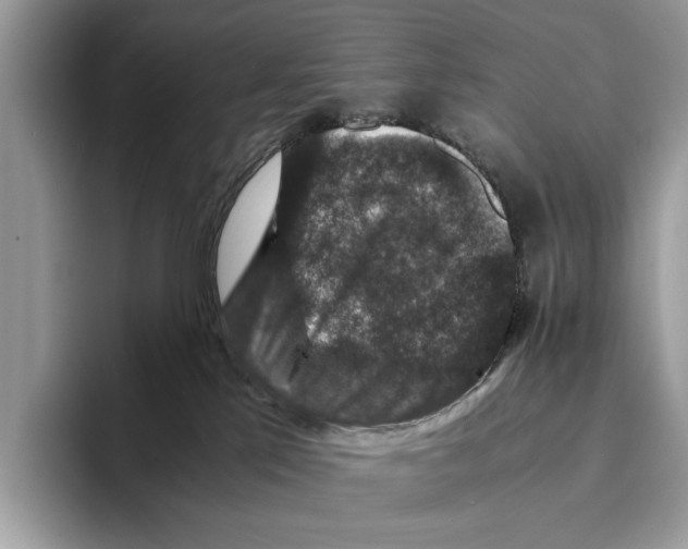 X0000095540041200801111442