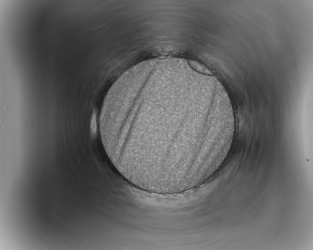 X0000095540042200801111442