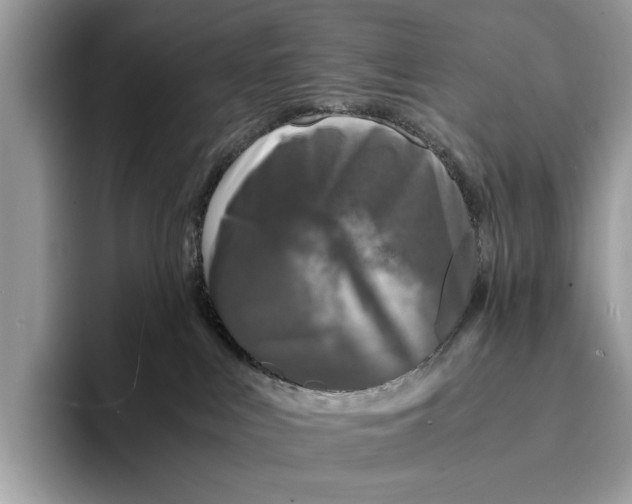 X0000095540043200801111442