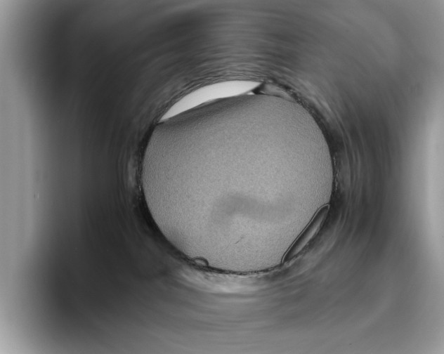 X0000095540044200801111442