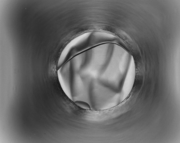 X0000095540045200801111442