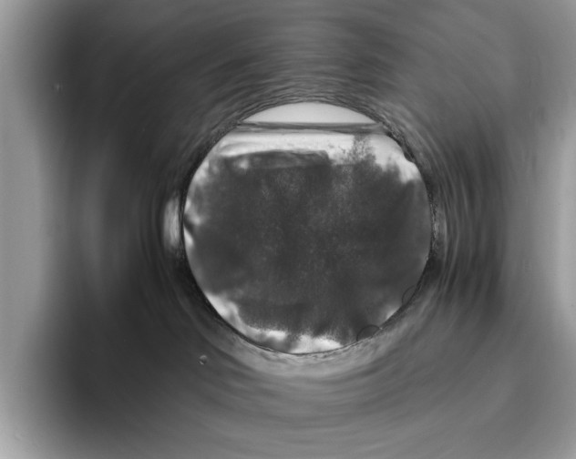 X0000095540046200801111442