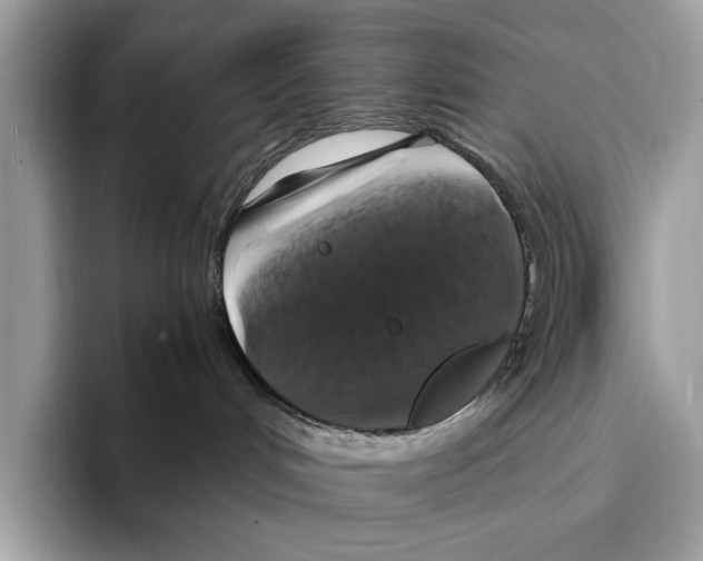 X0000095540048200801111442