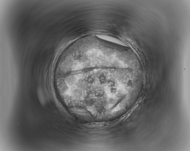 X0000095540049200801111441