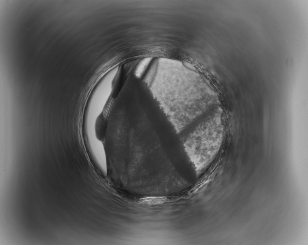 X0000095540051200801111441