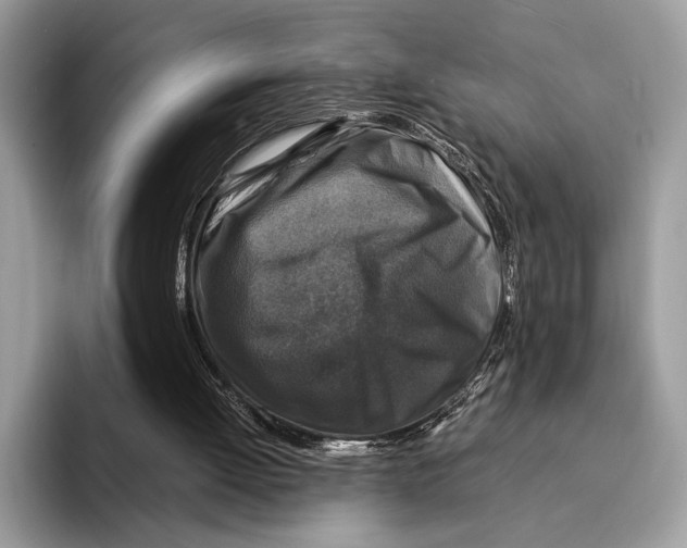 X0000095540052200801111441