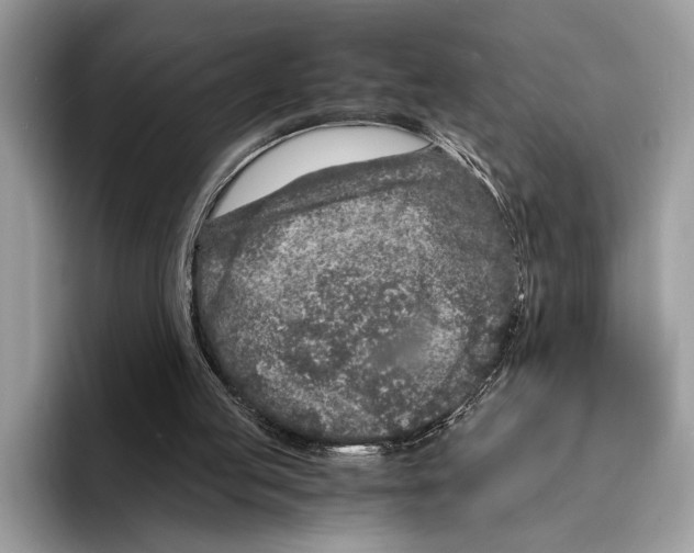 X0000095540053200801111441