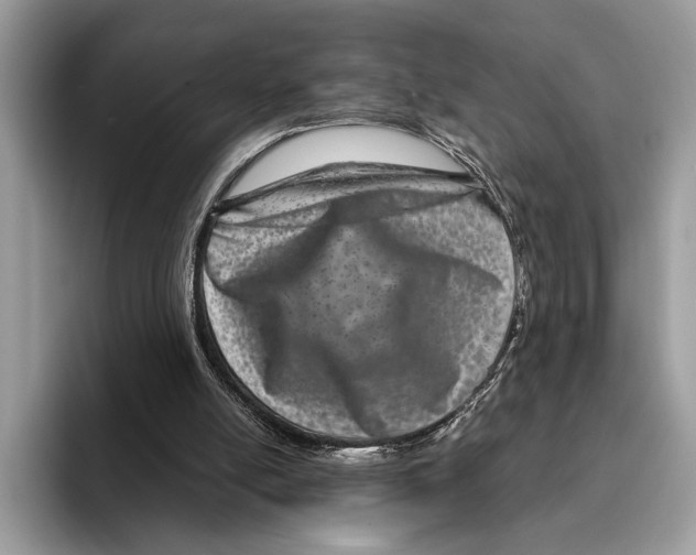 X0000095540054200801111441