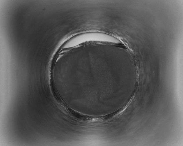 X0000095540056200801111441