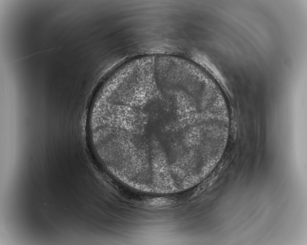 X0000095540058200801111441