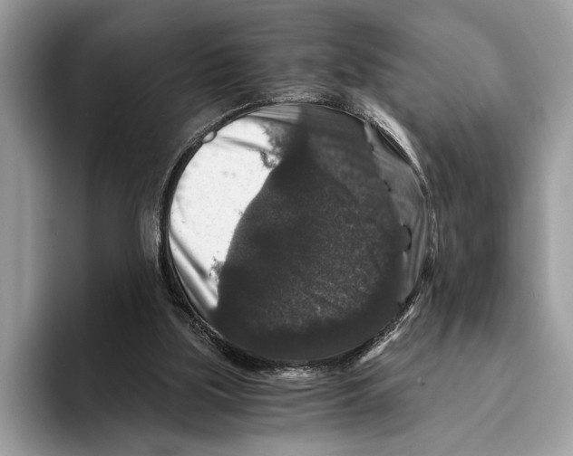 X0000095540059200801111441