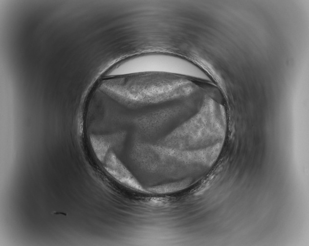 X0000095540060200801111441