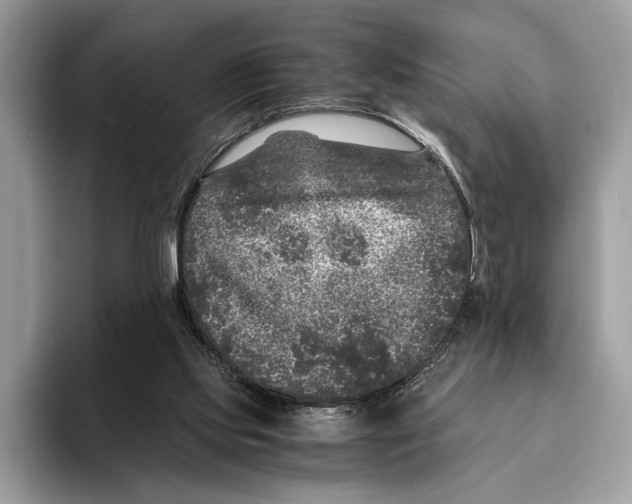 X0000095540061200801111441